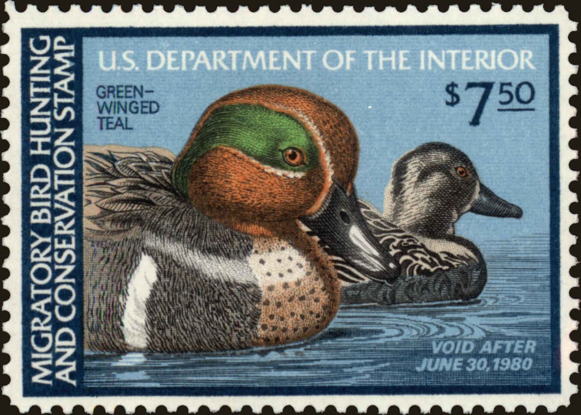 Front view of United States RW46 collectors stamp