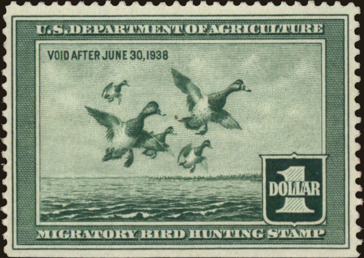 Front view of United States RW4 collectors stamp
