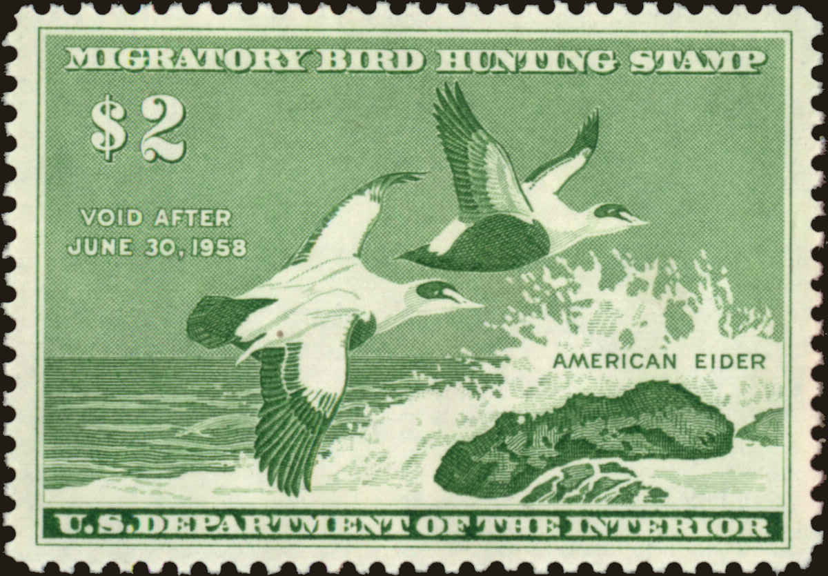 Front view of United States RW24 collectors stamp