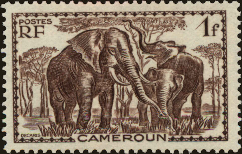 Front view of Cameroun (French) 242 collectors stamp