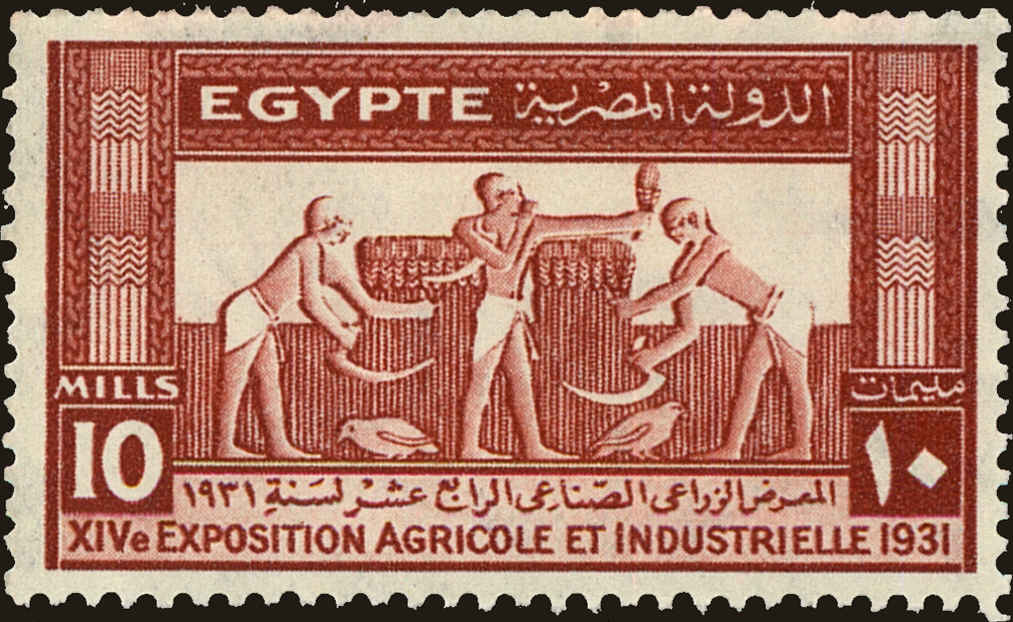 Front view of Egypt (Kingdom) 164 collectors stamp