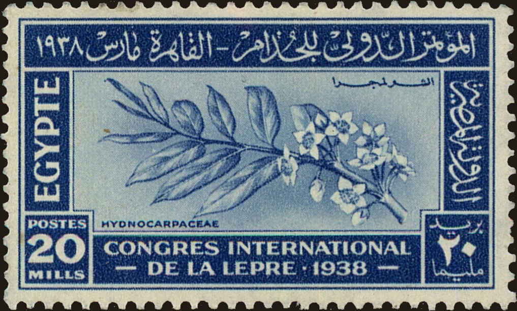 Front view of Egypt (Kingdom) 233 collectors stamp