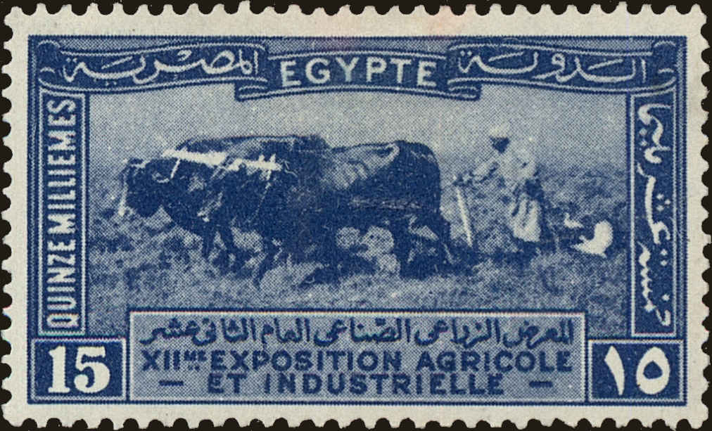 Front view of Egypt (Kingdom) 110 collectors stamp