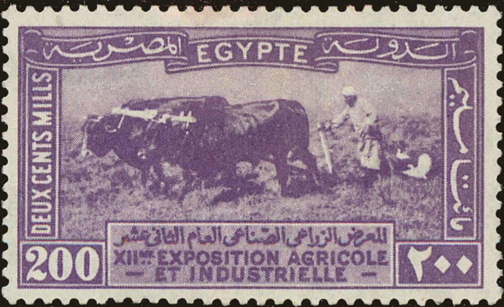Front view of Egypt (Kingdom) 113 collectors stamp