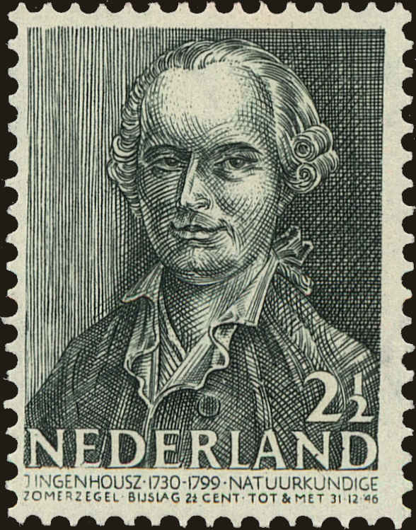 Front view of Netherlands B135 collectors stamp