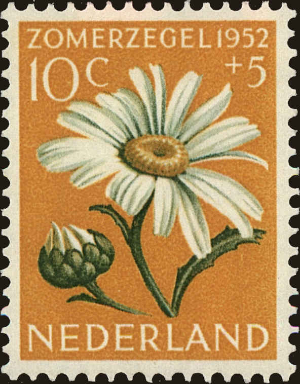 Front view of Netherlands B241 collectors stamp