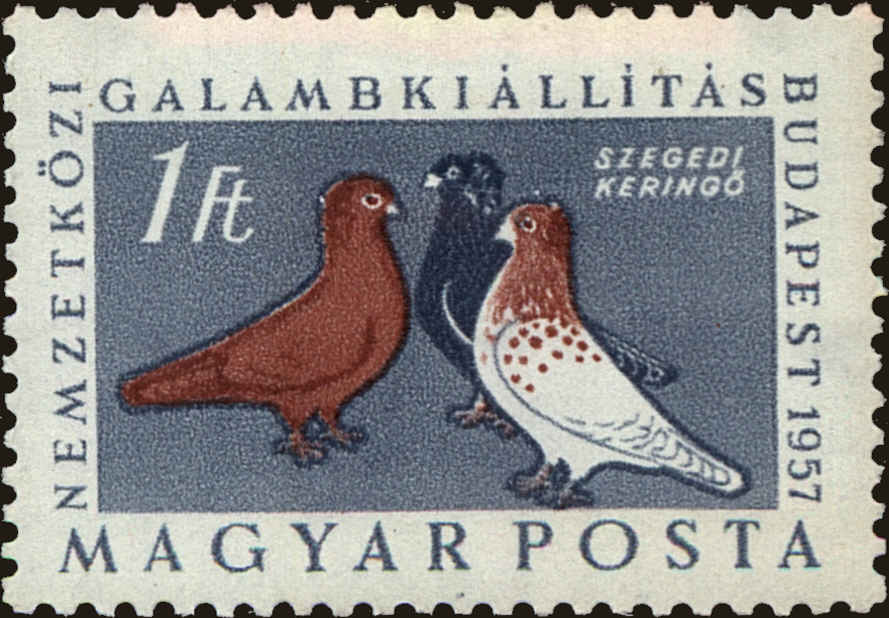 Front view of Hungary 1179 collectors stamp