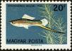 Stamp ID#163584 (1-191-1498)