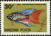 Stamp ID#163585 (1-191-1499)