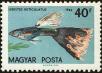 Stamp ID#163586 (1-191-1500)