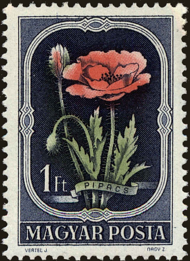 Front view of Hungary 977 collectors stamp