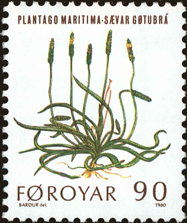 Front view of Faroe Islands 48 collectors stamp