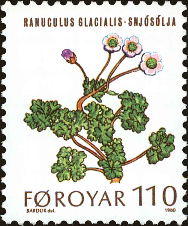 Front view of Faroe Islands 49 collectors stamp