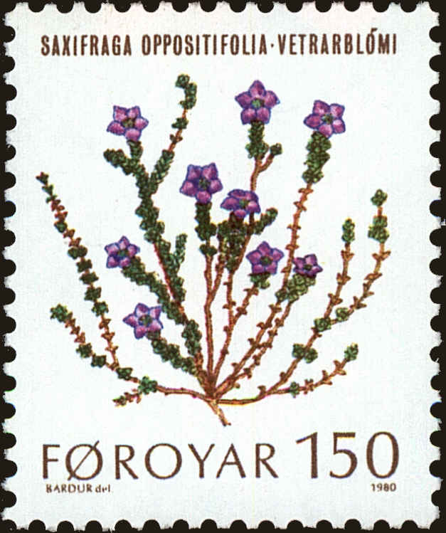 Front view of Faroe Islands 50 collectors stamp