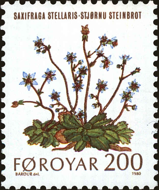Front view of Faroe Islands 51 collectors stamp