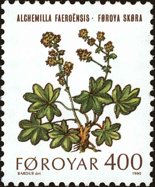Front view of Faroe Islands 52 collectors stamp
