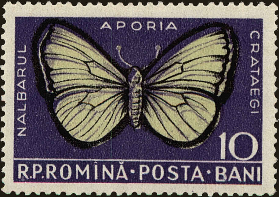 Front view of Romania 1103 collectors stamp