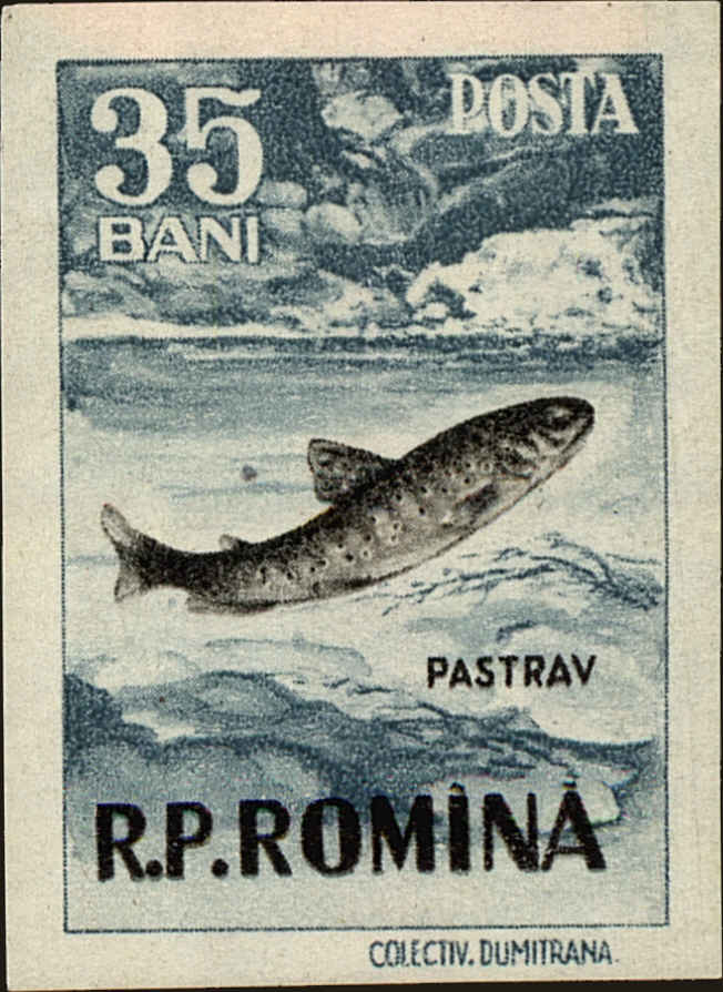 Front view of Romania 1084 collectors stamp