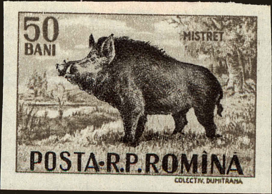 Front view of Romania 1085 collectors stamp