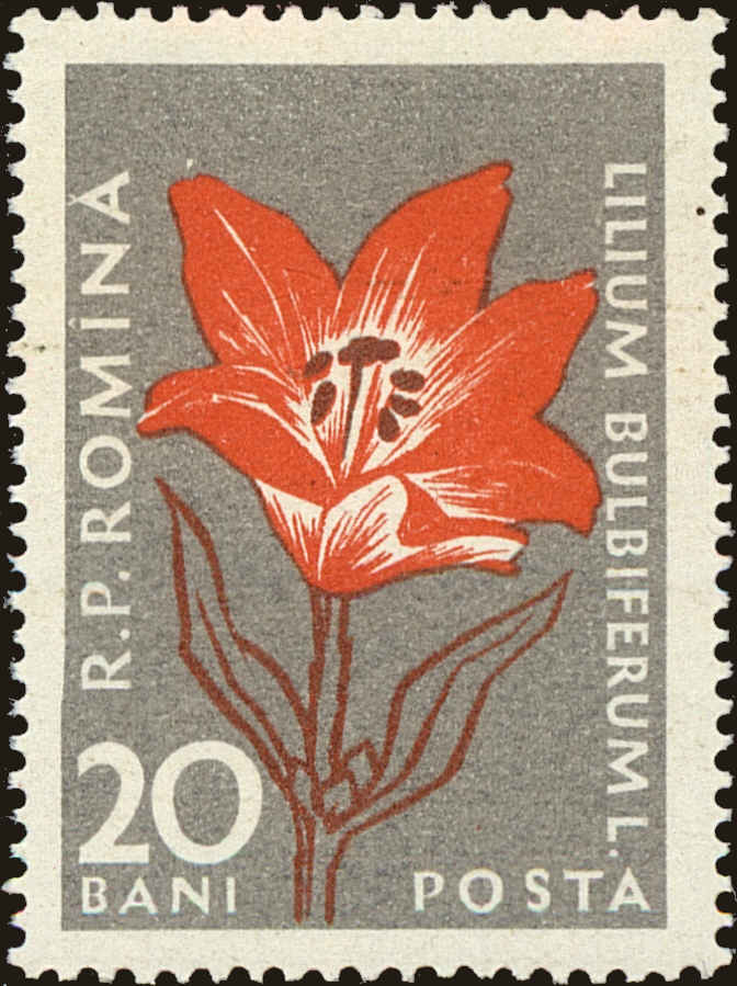 Front view of Romania 1163 collectors stamp