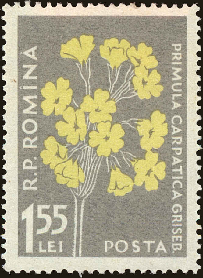 Front view of Romania 1167 collectors stamp