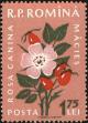 Stamp ID#172002 (1-207-1466)