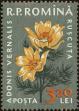 Stamp ID#172003 (1-207-1467)