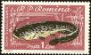 Stamp ID#172082 (1-207-1546)