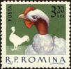 Stamp ID#172270 (1-207-1734)