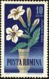 Stamp ID#172340 (1-207-1804)