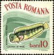 Stamp ID#172353 (1-207-1817)