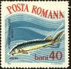 Stamp ID#172355 (1-207-1819)