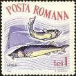 Stamp ID#172358 (1-207-1822)