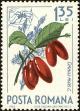 Stamp ID#172435 (1-207-1899)