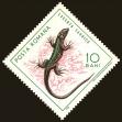 Stamp ID#172447 (1-207-1911)