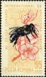 Stamp ID#172491 (1-207-1955)