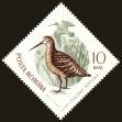 Stamp ID#172496 (1-207-1960)
