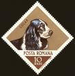 Stamp ID#172535 (1-207-1999)
