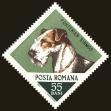 Stamp ID#172537 (1-207-2001)