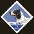 Stamp ID#172539 (1-207-2003)