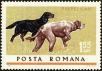 Stamp ID#172540 (1-207-2004)