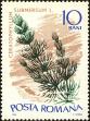Stamp ID#172592 (1-207-2056)