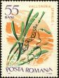 Stamp ID#172595 (1-207-2059)