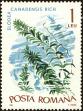 Stamp ID#172596 (1-207-2060)