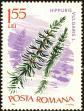 Stamp ID#172597 (1-207-2061)