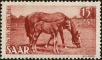 Stamp ID#179170 (1-217-196)