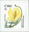 Stamp ID#181050 (1-229-1105)