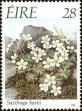 Stamp ID#180555 (1-229-610)