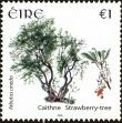 Stamp ID#180932 (1-229-987)