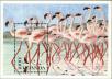 Stamp ID#182902 (1-230-1495)